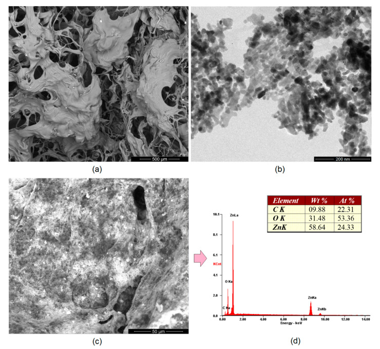 (a) SEM microphotograph of the chitosan hydrogel crosslinked with amino acids; (b) TEM microphotograph of the prepared ZnO nanoparticles; (c) SEM microphotograph of the hydrogel modified with ZnO nanoparticles (CS-ZnO-6); and (d) elemental analysis of the sample surface (CS-ZnO-6).