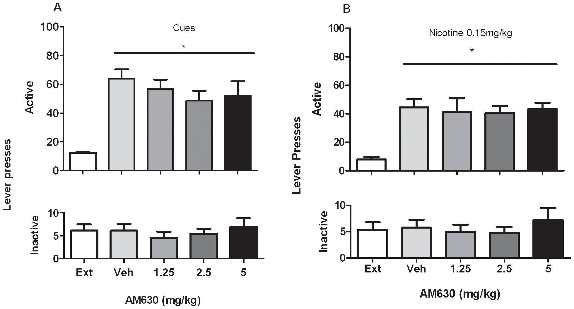 Effects of AM630 on reinstatement of nicotine-seeking behavior induced by presentation of nicotine associated cues and by Nicotine priming. A. Effects of pretreatment with AM630 (1.25, 2.5 and 5 mg/kg, IP H 30 min) on cue-induced reinstatement of nicotine-seeking behavior. A significant reinstatement of nicotine-seeking behavior was produced by presentation of nicotine-associated cues alone (* P<0.001). ANOVA showed that pretreatment with AM630 (1.25, 2.5 and 5 mg/kg, IP, H 30 min) did not modify cue induced reinstatement of nicotine-seeking behavior compared to vehicle (0 mg/kg) pretreatment (P>0.05). Data are expressed as means (±SEM) of the number of active and inactive lever presses during extinction (Ext); vehicle (0 mg/kg) pre-treatment and after pretreatment with AM630 (1.25, 2.5 and 5 mg). B. A significant reinstatement of nicotine-seeking was also produced by pretreatment with nicotine (0.15 mg/kg) (* P<0.001). ANOVA showed that AM630 (1.25, 2.5, 5 mg/kg, IP, H 30 min) did not modify reinstatement of nicotine-seeking behavior induced by a priming injection of 0.15 mg/kg nicotine administered 1 min before the session (P>0.05). Data are expressed as means (±SEM) of the number of active and inactive lever presses during extinction (Ext); vehicle (0 mg/kg) pre-treatment and after pretreatment with AM630 (1.25, 2.5 and 5 mg).