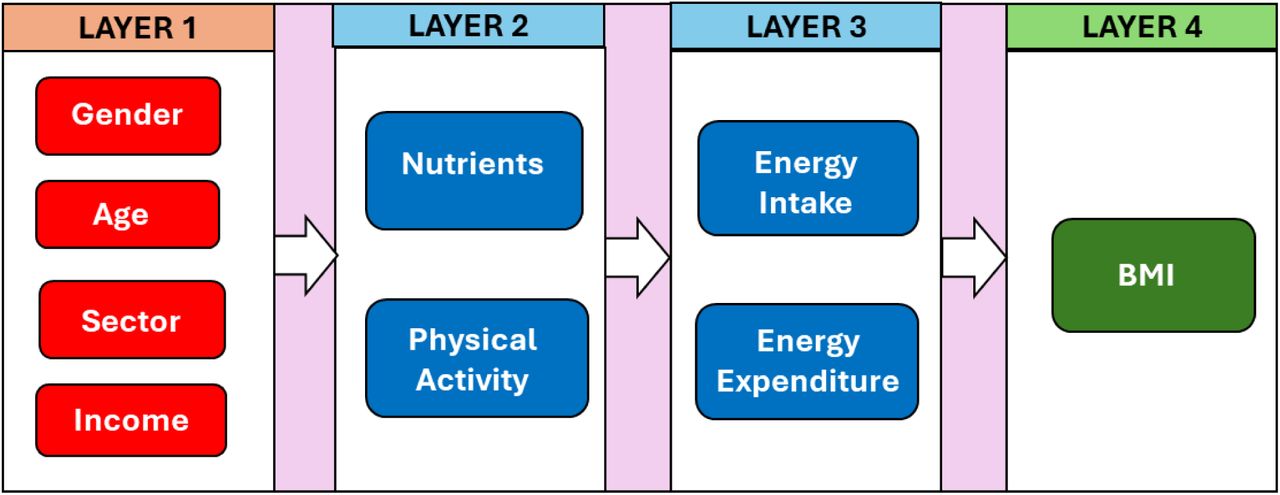 Energy balance model layers and factors, used within Health-GPS.Notes: BMI: body mass index.