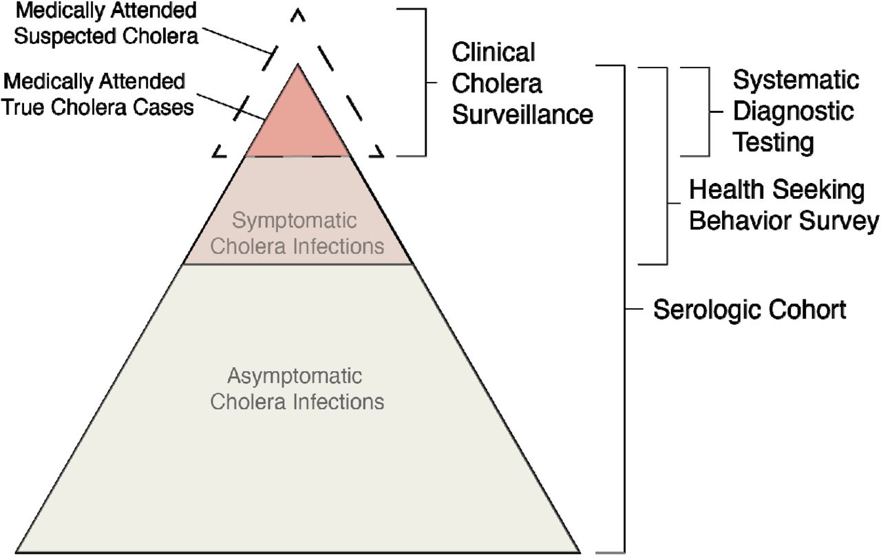 Overview of conceptual model of the continuum between infections and medically attended cholera.Key data sources used in the model are indicated on the right.