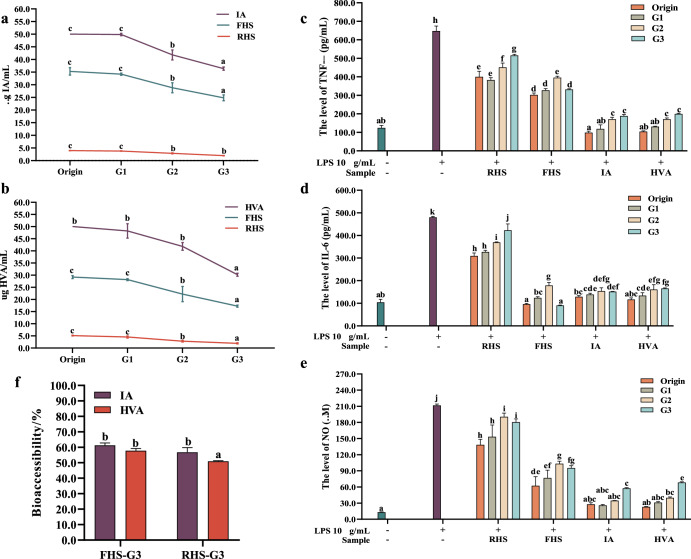 In vitro simulated digestive and bioaccessibilty assays.The changes of the content of IA (a) and HVA (b) in FHS and cellular anti-inflammatory activity of FHS, RHS, IA, and HVA (c–e) during digestion. f The bioaccessibilty of FHS and RHS. In figures, G1 means the saliva digestive group, GD2 means the gastric digestive group, and G3 means the intestinal digestive group. All data are presented as the mean ± SD (n = 3). Different letters indicate significant differences (p < 0.05).