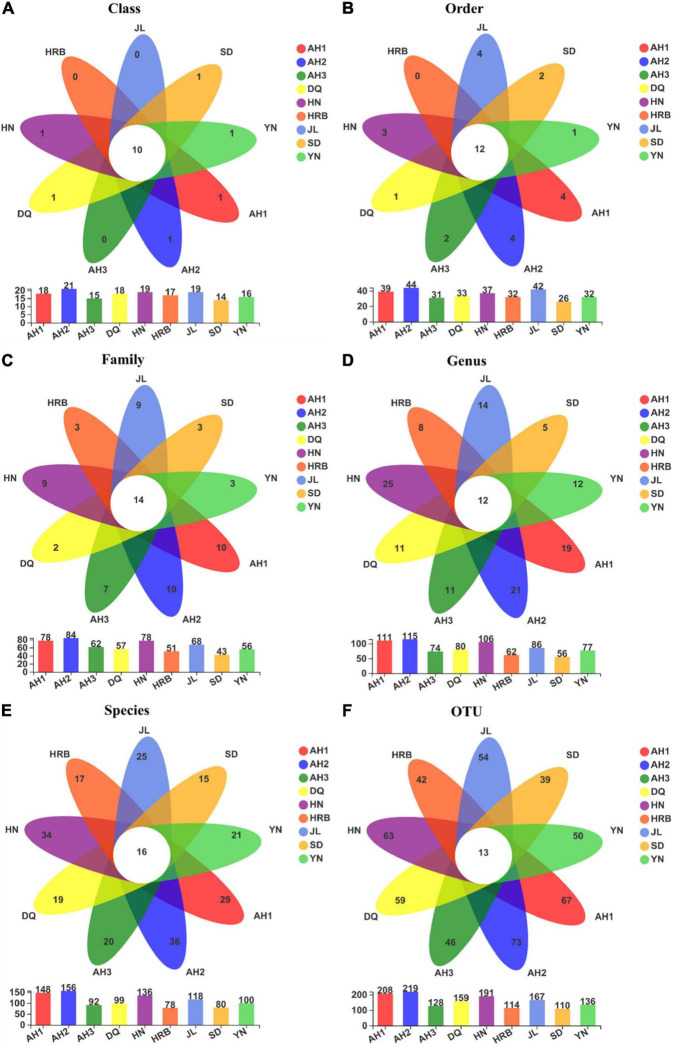 (A–F) Overlap in fungal community composition at different taxonomic levels among the nine geographic populations of the hemp flea beetle P. attenuata in China, with the number of fungi unique to each population in the petal and the number of fungi common to all populations in the center. Below is a bar chart of the total number of species in each population at selected taxonomic level.