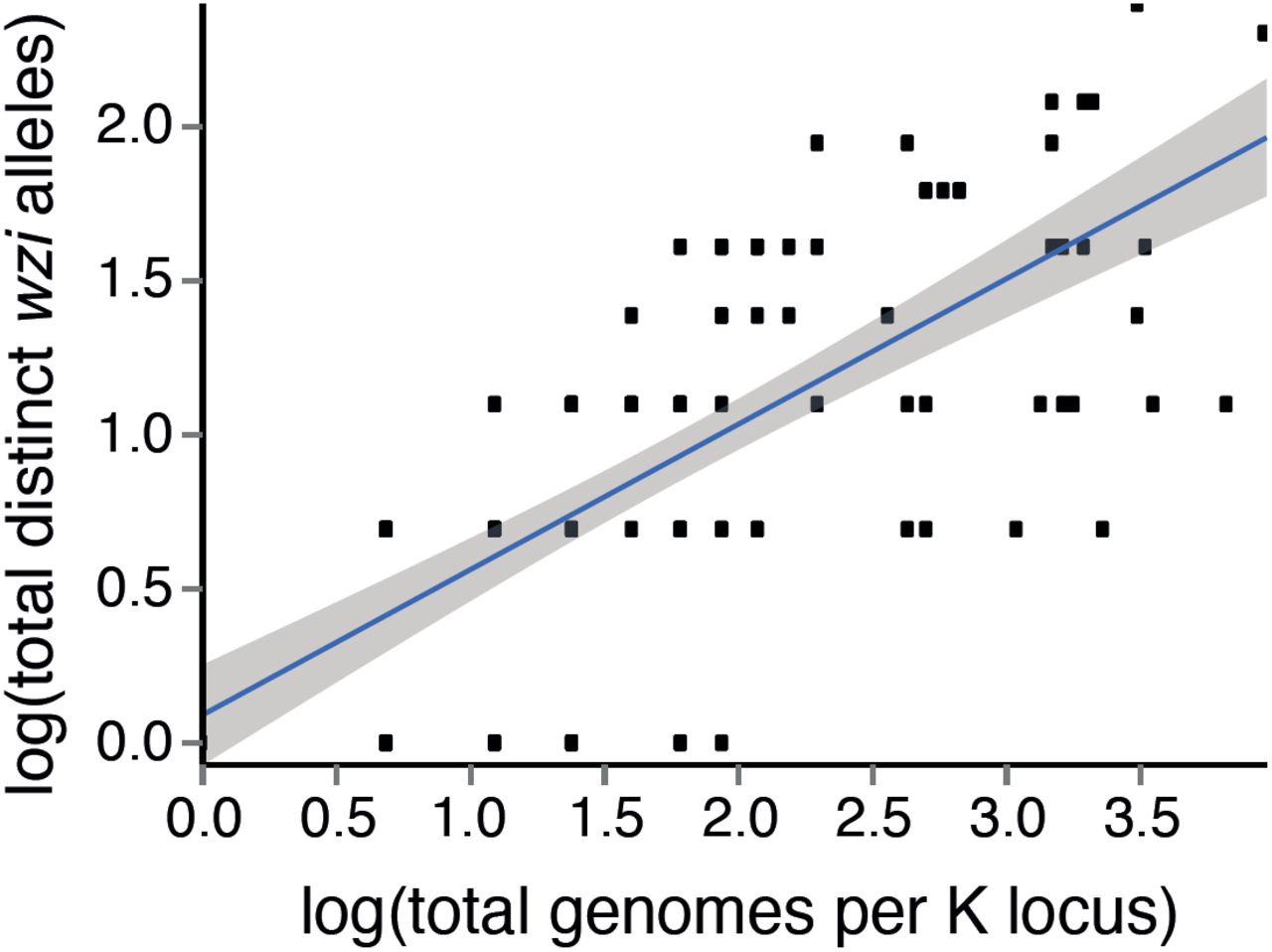 Allelic diversity of wziWithin K locus wzi allelic diversity increases with total K locus representation. The blue line represents the least-squares regression and grey shading indicates the 95% confidence interval.
