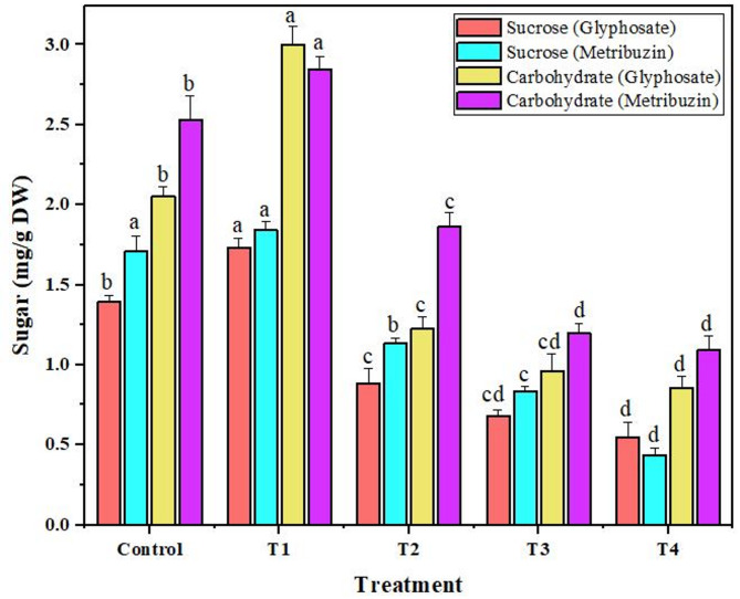 Variation in sucrose and carbohydrate in Cannabis sativa L. under glyphosate and metribuzin herbicide stress. Data represent mean values (± standard error) of three replicates (n = 3). Treatments are as follows: T1 = X/8, T2 = X/4, T3 = X/2, and T4 = X, where X is 2.47 L/ha for glyphosate and 742 g/ha for metribuzin. Different letters above bars indicate statistically significant differences among treatments for each pigment, as determined by one-way ANOVA followed by Duncan’s multiple range test (p ≤ 0.05)