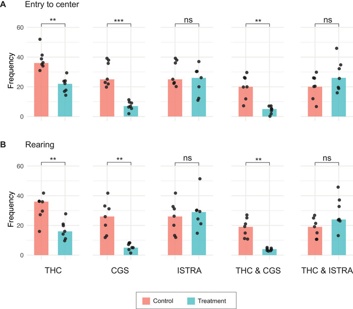 Open field test (OFT) analysis of exploratory behavior in mice across treatment groups. Assessment of exploratory behavior in terms of frequencies of (A) entry to center and (B) rearing events during the OFT. Bar plots represent the median frequency of these behaviors, with individual data points shown as dots. Data are presented for each treatment group compared to their corresponding control group (SHAM‐E for THC; SHAM‐D for CGS and ISTRA; SHAM‐E & D for THC & CGS, and THC & ISTRA). Statistical significance of the test is shown as ns for nonsignificant, *p < 0.05, **p < 0.01, and ***p < 0.001