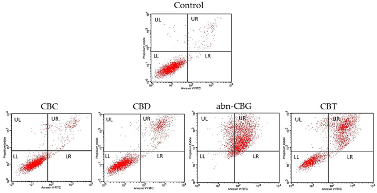 Apoptosis/necrosis level after the incubation of HT29 tumor cells with the cannabinoids at the 25 μg/mL concentration. Flow cytometry analysis after cell staining with annexin V-FITC and propidium iodide. Only representative dot plots are presented. An−/PI+ necrotic cells are located in the UL Quad, An+/PI+ late apoptotic cells in the UR Quad, An−/PI− viable cells in the LL Quad, and An+/PI− early apoptotic cells in the LR Quad.