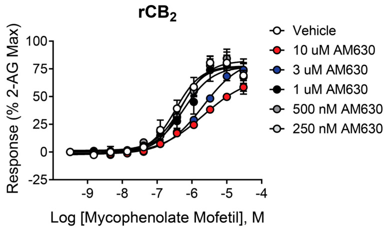 Increasing concentrations of AM630 shift the CRC of mycophenolate mofetil in cells expressing rCB2. Concentration–response curves (CRCs) in thallium flux assays for mycophenolate mofetil in the presence of AM630. Data represent the mean ± SEM of at least three independent experiments run in duplicate or triplicate. Data are plotted as a percentage of maximal 2-AG response.