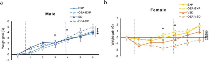 Weight gain of (a) male and (b) female mice throughout the experiment. The dots represent means and the vertical lines ± SEM of gain weight (gr). Gray zones represent the time span of the SD and VSD protocols. *p < 0.05; **p < 0.01; significant difference of SD/VSD mice with respect to EXP mice. + + + p < 0.001; significant difference of stressed male mice with respect to female mice; @@@p < 0.001 significant difference of VSD female mice compared to EXP female mice