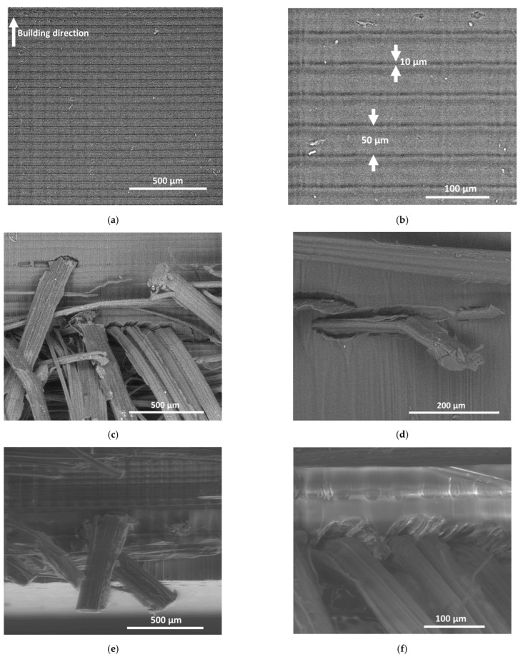 SEM micrographs of 3D-printed composites: (a) Cross-section view of 3D-printed resin with arrows showing the printing direction, (b) the same view with arrows embedded in the micrograph showing the necking and layer height, (c,d) Cross section views of the composite with hemp fiber reinforcement, (e,f) Views from the edge of the same composite under different magnifications.