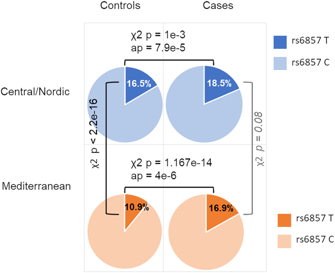 Risk allele frequencies of top marker (rs6857) at the chromosome 19 locus in the Central/Nordic and Mediterranean European discovery cohortsUncorrected p values calculated via χ2 are reported; association p values (ap) are reported for the case-control comparisons.