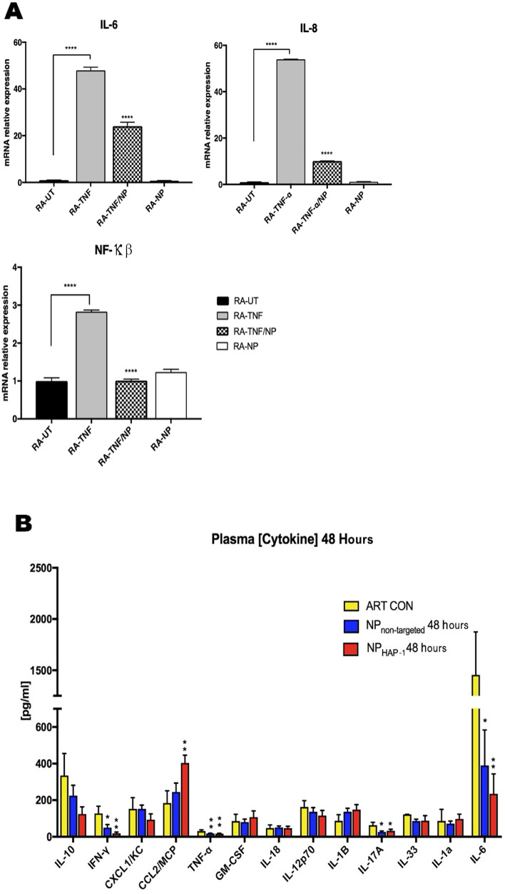 NP effect on cytokine production. (A) In vitro effects showing NP suppresses pro-inflammatory upregulation of NF-κβ, IL-6 and IL-8 mRNA in RA-FLS cells. Cultured RA-FLS were stimulated with TNF-α alone (25 ng/mL) or TNF-α plus NP (30 µg/mL) for 24 h. Expression levels of mRNA were assayed by quantitative real-time RT-PCR. The mRNA levels of each gene were standardized against GAPDH levels. Data are expressed as the mean (S.D.) (n = 4). *p < 0.05; **p < 0.01, ***p < 0.001, ****p < 0.0001 vs TNF-α alone. NP significantly inhibited TNF-α stimulated production of IL-6, IL- 8 and NF-κβ. (B) In vivo cytokine effects of NP in an arthritis model of inflammation. Plasma concentrations of cytokines in non-treated (ART CON), NPnon-targeted and NPHAP-1 treated arthritic rats were measured. Arthritic rats were treated with NP intravenously administered once daily, for two days and blood collected 48 h after the initial injection. Low plasma concentrations of pro- inflammatory cytokines IFN-γ, IL-6 and IL-17A were observed in both the NPnon-targeted and NPHAP-1 treated rats. Data expressed as the mean + S.D. (n = 6). *p < 0.05; **p < 0.01 against ART-CON.