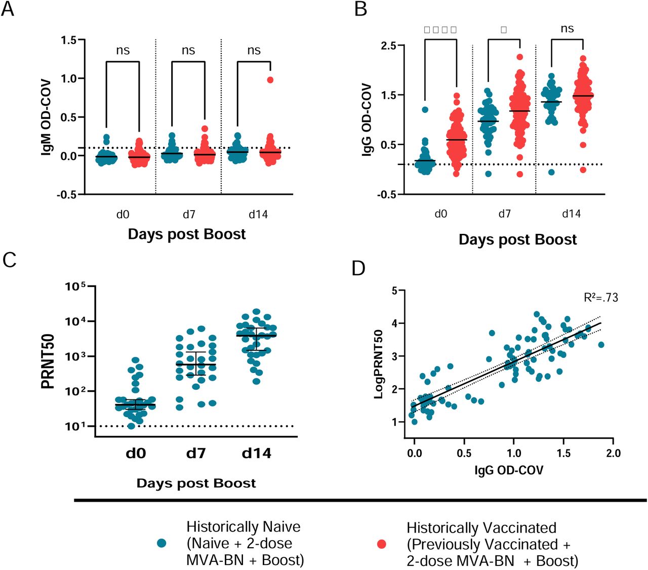 OPXV-specific binding and neutralizing antibody detection after MVA-BN booster vaccination.Serum specimens collected from participants at d0 prior to vaccination and d7 and d14 after the booster dose were evaluated for the presence of VACV-specific IgM and IgG by ELISA. IgM (A) and IgG (B) OD-COV data shown for all participants stratified by sub-group. Horizontal dotted line in (A-B) represents positivity threshold (0.12 for IgM; 0.1 for IgG). Horizontal bar within scatter plots in (A-B) represents mean. Statistical significance determined by One-way ANOVA with Tukey’s multiple comparisons tests. **** p<0.0001, * p<0.05, ns = not significant. Serum specimens from a subset of HN subgroup were tested for neutralizing activity against VACV by PRNT. (C) Individual specimen PRNT results with group median and 95% confidence intervals, and limit of detection (dotted line, 1:10). (D) Linear regression plot of single dilution IgG OD-COV vs log10 transformed PRNT50. The dotted lines mark the 95 % prediction band of the best-fit line.