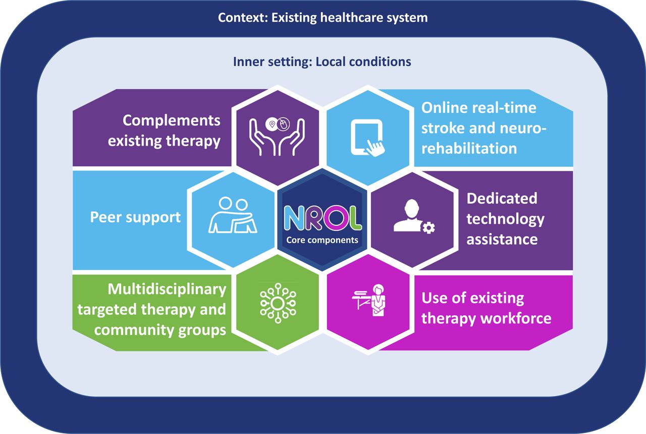 NROL core components.Six core components are identified for integration of NROL within an existing healthcare system. These components should be consistently implemented for NROL but the processes to achieve them should be adapted to fit local conditions.