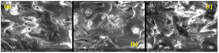 SEM micrographs of non-irradiated NR-H sample (a) and irradiated at 150 kGy (b) and 450 kGy (c) (magnification of 500).