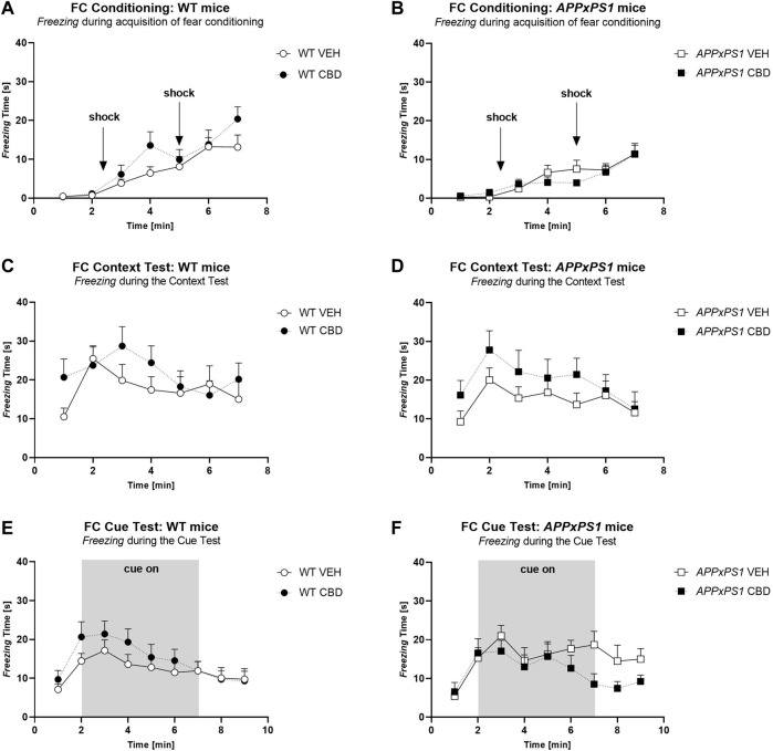 Freezing time [s] during (A,B) acquisition of fear conditioning, (C,D) context test, and (E,F) cue test in APPxPS1 and WT female mice treated daily with 20 mg/kg CBD or VEH for 8 months. Interactions were present in (A, B) between “minutes” × “genotype” (p = 0.02) and in (E,F) between “minutes” × “treatment” (p = 0.02). Data were analysed using three-way RM ANOVA and presented as mean ± SEM in separate graphs for visual clarity. N = 14 WT VEH, 16 APPxPS1 VEH, 14 WT CBD, and 13 APPxPS1 CBD. Abbreviations: APPxPS1: amyloid precursor protein x presenilin 1; CBD: cannabidiol; VEH: vehicle; WT: wildtype-like.