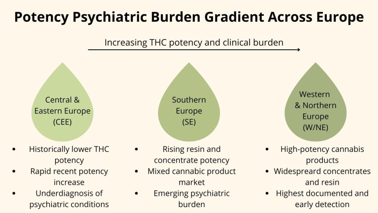 Infographic illustrating the increasing gradient of THC potency and related psychiatric burden across Europe, with Central and Eastern Europe showing lower potency and underdiagnosis, Southern Europe experiencing rising potency and emerging burden, and Western and Northern Europe facing high-potency products and highest detection rates.