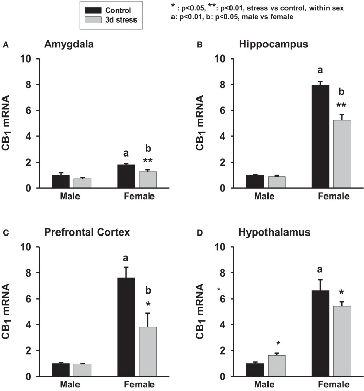 Two-way ANOVA show significant effects of gender and stress. Female adolescent rats show a greater baseline of CB1 mRNA expression in the amygdala, hippocampus, hypothalamus and prefrontal cortex than the males (p < 0.01, each). Three days repeated tail-shock stress significantly down-regulated CB1 mRNA levels in rat amygdala (A), hippocampus (B), prefrontal cortex (C) and hypothalamus (D), especially in the female rats. Black column: control; gray column, stressed group, a, p < 0.01, male vs. female; b, p < 0.01: control group vs. stress group; *p < 0.05; **p < 0.01, control vs. stress within sex comparison.