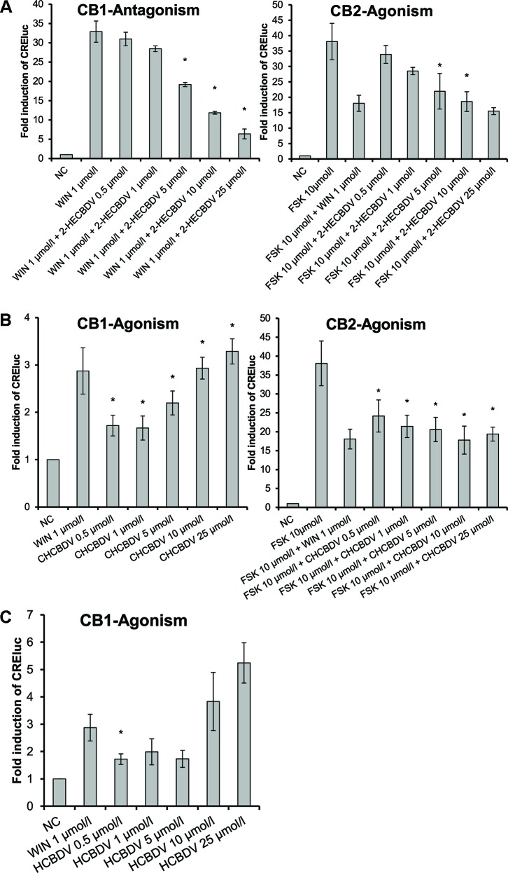 CB-receptor-mediated effect of CBDV-derivatives. The following compounds were tested: (A) 2-HECBDV (7), (B) CHCBDV (8), and (C) HCBDV (9). Given are fold induction of CRE-luc; CB, cannabinoid; CBDV, cannabidivarin; CHCBDV, cyclohexyl cannabidivarinolate; HCBDV, n-hexyl cannabidivarinolate; NC, negative control; WIN, WIN 55212-2; 2-HECBDV, 2-hydroxyethyl cannabidivarinolate; error bars represent SEM, n = 4 independent experiments, *p < 0.1.
