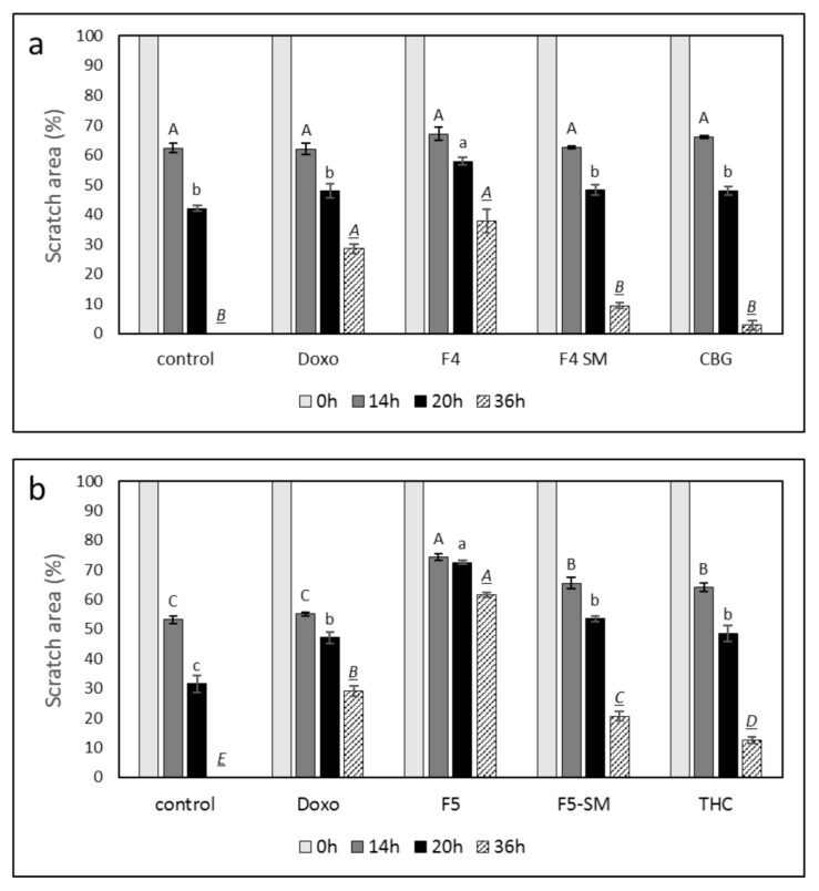 Effect of F4, F5, F4-SM, or F5-SM on A172 cell migration. Cells were treated with (a) F4 (20 µg/mL); F4-SM (11.5 µg/mL) or CBG (9.2 µg/mL) (b) F5 (20 µg/mL); F5-SM (11.5 µg/mL) or THC (10.5 µg/mL). Control is vehicle control (1.15% v/v methanol). Doxorubicin (Doxo, 0.5 µg/mL) served as a positive control. Percent scratch area is presented as mean; error bars indicate ± SE (n = 3). Levels with different letters are significantly different from all combinations of pairs according to the Tukey–Kramer honest significant difference (HSD; p ≤ 0.05).