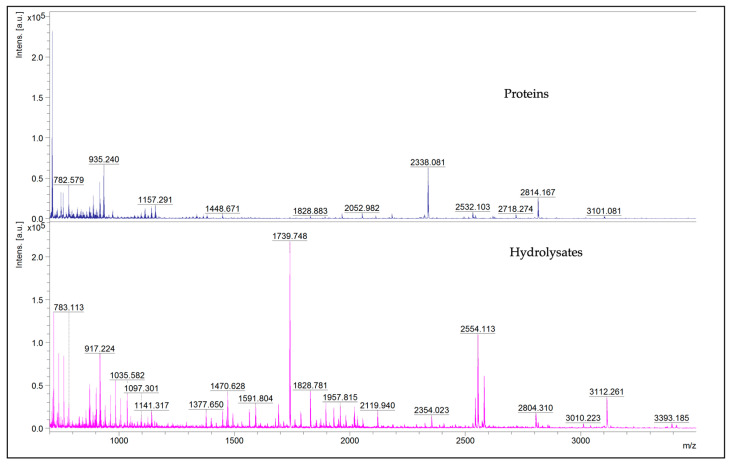 Representative MALDI-TOF MS mass spectra in the m/z region 700–3500 of proteins and hydrolysates.
