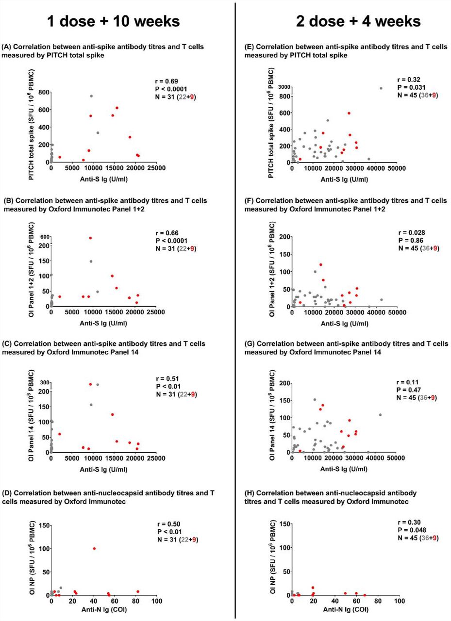 Correlation between T cell responses and Antibody titres to SARS-CoV-2 spike and nucleocapsid protein.T cell responses to spike are reported by 3 panels: PITCH total spike, Oxford Immunotec Panel 1+2 and Oxford Immunotec Panel 14. T cell responses to nucleocapsid protein are reported by Oxford Immunotec only. Roche assay was used to determine Antibody (Ig) titres in U/ml for anti-S and cut-off index (COI) for anti-N. (A-C) Correlation between antibody titres and T cell responses to SARS-CoV-2 spike protein measured at 1 dose + 10 weeks. n=31 (n=22 naïve, n=9 previously infected). (A) Correlation between SARS-CoV-2 spike antibody titres and T cell responses measured by PITCH total spike at 1 dose + 10 weeks. (B) Correlation between SARS-CoV-2 spike antibody titres and T cell responses measured by Oxford Immunotec Panel 1+2 at 1 dose + 10 weeks. (C) Correlation between SARS-CoV-2 spike antibody titres and T cell responses measured by Oxford Immunotec Panel 14 at 1 dose + 10 weeks.(D) Correlation between SARS-CoV-2 nucleocapsid antibody titres and T cell responses measured by Oxford Immunotec at 1 dose + 10 weeks. n=31 (n=22 naïve, n=9 previously infected) (E-G) Correlation between antibody titres and T cell responses to SARS-CoV-2 spike protein measured at 2 dose + 4 weeks. n=45 (n=36 naïve, n=9 previously infected). (E) Correlation between SARS-CoV-2 spike antibody titres and T cell responses measured by PITCH total spike at 2 dose + 4 weeks. (F) Correlation between SARS-CoV-2 spike antibody titres and T cell responses measured by Oxford Immunotec Panel 1+2 at 2 dose + 4 weeks. (G) Correlation between SARS-CoV-2 spike antibody titres and T cell responses measured by Oxford Immunotec Panel 14 at 2 dose + 4 weeks. (H) Correlation between SARS-CoV-2 nucleocapsid antibody titres and T cell responses measured by Oxford Immunotec at 2 dose + 4 weeks. n=45 (n=36 naïve, n=9 previously infected). Spearman’s r correlation was performed and two-tailed p values reported (alpha = 0.05). Infection status at time of first vaccine, as defined by available PCR and serology data: grey symbols = naïve HCWs and red symbols = HCWs previously infected with SARS-CoV-2.
