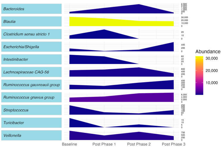 Changes in microbiota genera abundance across different study time points.