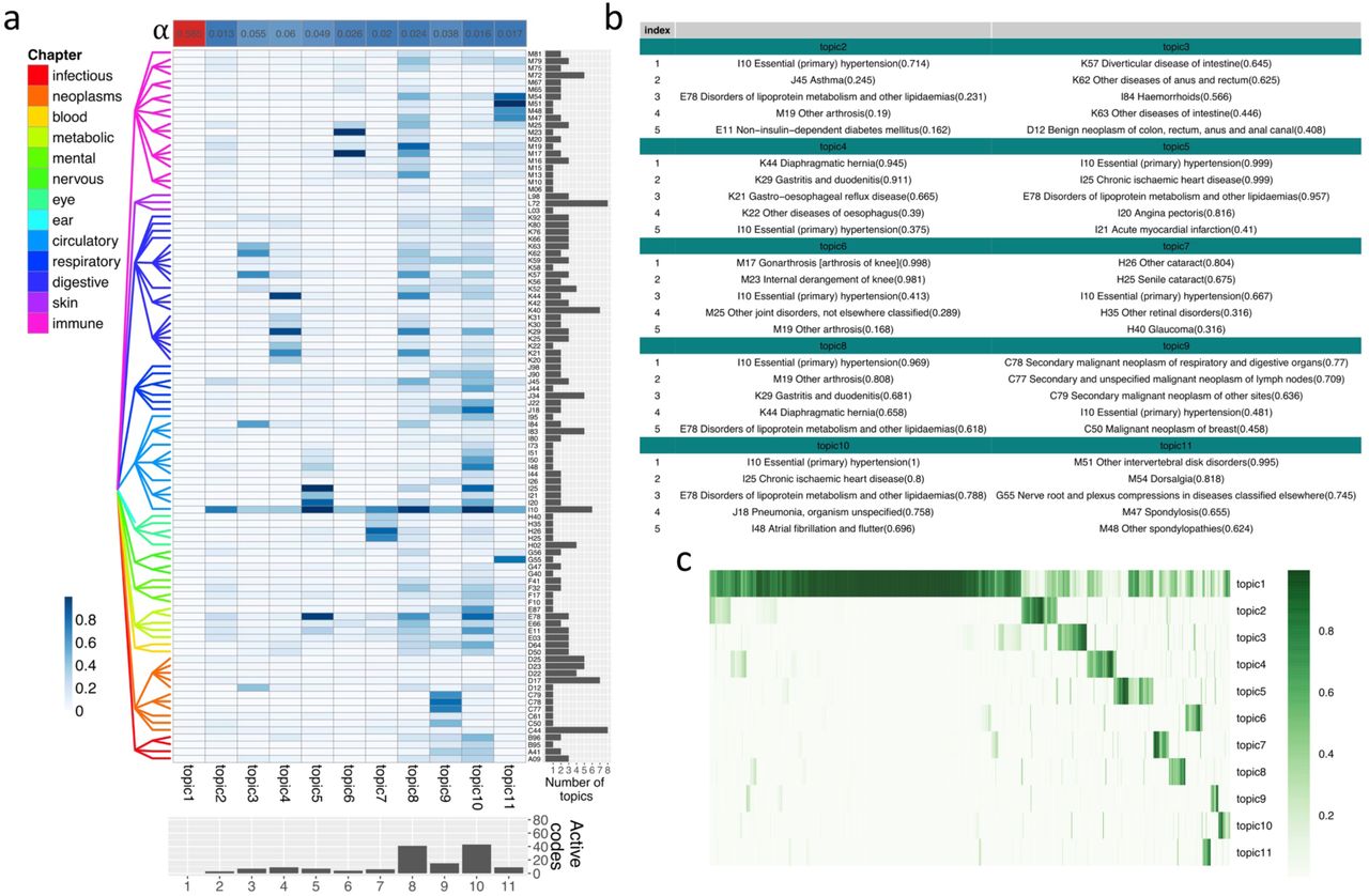 Inference results given by treeLFA on the top 100 UKB dataset.a, 11 topics inferred by treeLFA from the top-100 UKB dataset. The heatmap shows the probabilities of 100 ICD-10 codes in the 11 treeLFA topics, in which each row is an ICD-10 code and each column is a topic. Topics are arranged in a descending order of their corresponding entries in the optimised α vector (the single-row heatmap on the top). The tree structure for the 100 ICD-10 codes is shown to the left of the heatmap. Codes from different chapters of the ICD-10 coding system are colored differently. The barplot below the heatmap shows the numbers of ICD-10 codes with a probability of at least 0.2 in topics. The barplot on the right side of the heatmap shows the number of topics in which an ICD-10 code is active (with a normalised probability of at least 0.5).b, The top 5 codes with the largest probability in the 10 non-empty treeLFA topics (topics 2-11 in Figure 3a). Numbers in the brackets show the probabilities of disease codes in topics.c, Inferred weights for the 11 topics for 2000 random individuals. Each row in the heatmap is a topic, and each column is an individual.