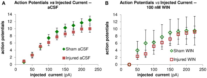 Repetitive action potential (AP) firing is not altered by injury and is unaffected by treatment with the cannabinoid agonist WIN55,212-2. CA1 Pyramidal neuron voltage response to current injection through recording electrode. (A) Average AP frequency in response to depolarizing current steps (0–225 pA, in 25 pA increments) in aCSF. No significant differences in AP frequency were found between sham (n = 13) and injured (n = 13) pyramidal neurons at any of the current steps. (B) Average AP frequency in response to depolarizing current steps (0–225 pA, in 25 pA increments) in aCSF containing 100 nM WIN55,212-2. No significant differences in AP frequency were found between sham (n = 4) and injured (n = 6) pyramidal neurons at any of the current steps; nor did WIN55,212-2 significantly affect AP frequency in either condition. These results are consistent with a lack of any changes in intrinsic membrane properties (see also Figure 9 and Table 1).