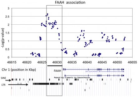 FAAH locus association.RareCover was used to analyze overlapping windows of Kbp in the re-sequenced region around FAAH. A -value was computed for each window using permutations of cases and controls. Each point corresponds to the -value of a single window starting at that location. The most significant window (described by the box) is Kbp upstream of the FAAH transcription start site. The region is part of an LTR element, which are known to carry regulatory signals, and is enriched in transcription factor binding sites, suggesting a regulatory role for the rare variants.