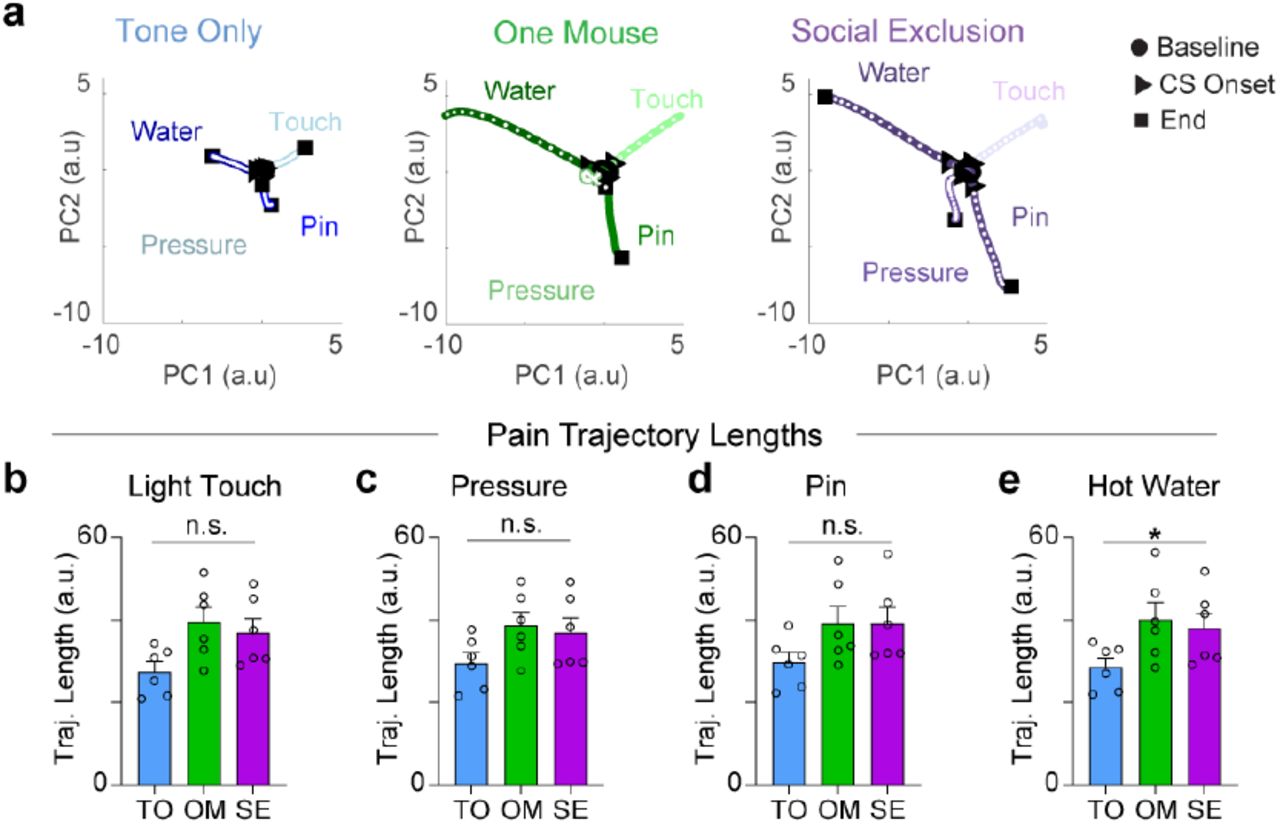 Neural trajectories from aIC neural population responses to physical pain stimulia, Sample neural trajectories for one representative animal. Responses to light touch, pressure, pinprick, and hot water are shown and graded by color to match the stimulus intensity. b-e, Quantification of trajectory lengths. b, Touch: Repeated Measures One-Way ANOVA, n = 6, F(1.6,8.2) = 4.6, p = 0.051. c, Pressure: Repeated Measures One-Way ANOVA, n = 6, F(1.5,7.2) = 2.74, p = 0.136. d, Pin: Repeated Measures One-Way ANOVA, n = 6, F(1.7,8.5) = 3.1, p = 0.098. e, Water: Repeated Measures One-Way ANOVA, n = 6, F(1.9,9.4) = 4.3, *p = 0.049.