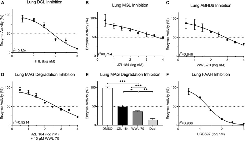 Activity of the MAG biosynthetic enzyme, DGL, in mouse lung protein isolates was dose-dependently inhibited by the DGL inhibitor, THL (A) IC50 = 74.64 nM. In contrast to small-intestinal epithelium, activity of the MAG degradative enzyme, MGL, in mouse lung was not effectively reduced past 50% with concentrations up to nearly 10 μM of the MGL inhibitor, JZL 184 (B) IC50 = 4,394 nM. Activity of the MAG degradative enzyme, ABHD6, in mouse lung was inhibited by the ABHD6 inhibitor, WWL 70 (C) IC50 = 779.9 nM. Dose-dependent inhibition of MAG metabolism in mouse lung tissue was achieved when all samples were also incubated with 10 μM WWL 70 (D) IC50 = 510.14 nM. When mouse lung was incubated together at 10× the respective IC50 for each MAG degradation inhibitor (JZL 184 = 43,940 nM; WWL 70 = 7,799 nM), MAG degradative enzyme activity was reduced to 14.62% (E). Activity of the FAE degradative enzyme, FAAH, in mouse lung protein isolates was inhibited by the FAAH inhibitor, URB597 (F) IC50 = 22.95 nM.