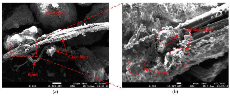 SEM images of sand after MICP reinforcement of 0.2% glass fiber at (a) 100× and (b) 500× magnification; 0.25% polyester fiber at (c) 100× and (d) 500× magnification, and 0.25% hemp fiber at (e) 100× and (f) 500× magnification.