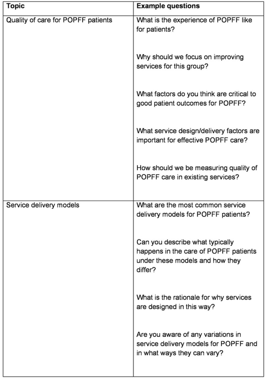 Interview topic guide Topic
