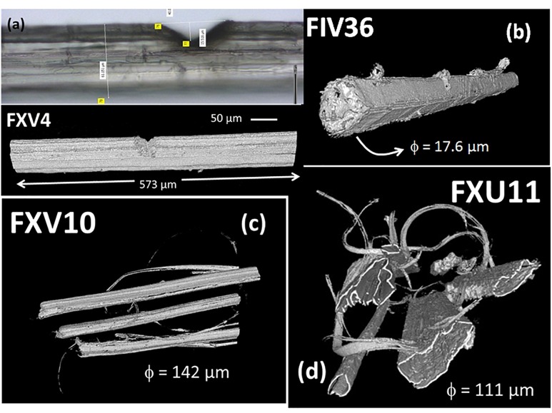 X-ray micro-tomography and corresponding optical images of hemp bundles and elementary fibers under various conditions: (a) bundle with V-notch acquired in a typical volume of 456 × 465 × 2048 voxels; (b) elementary fiber with a V-notch (typical volume 798 × 340 × 1846 voxels). Multiple elementary fibers in several bundles acquired in typical volumes (c) 1389 × 1722 × 1756 voxels and (d) 1004 × 970 × 2048 voxels. The voxel size is 280 nm in each case.