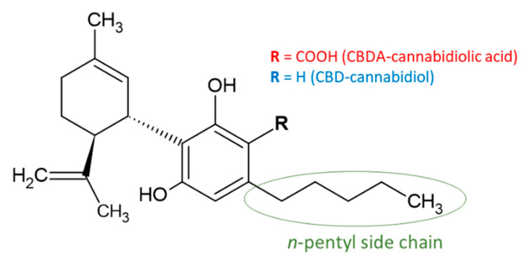 Typical cannabinoid structures (e.g., CBD) differ in carboxylic acid, neutral form, and alkyl side chain [13,16,31].