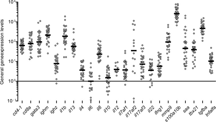 General gene expression level of the genes investigated.Samples having Cq values (all groups) are presented. The relative gene expression levels of the individual genes was calculated by 2-ΔCq followed by normalization to the geometric mean of il6, which had the lowest expression level. The black lines indicate geometric means. The gene s100a10b had the highest overall expression level by having a geometric mean 1019 folds higher than il6.
