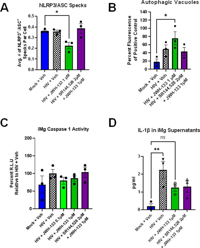 In iMg, CB2-specific agonists impair HIV-induced NLRP3 inflammasome activation with a corresponding increase in autophagosome number. (a) Quantification of the number of NLRP3+/ASC+ specks in iMg detected with immunostaining. Average of 2 wells/condition from 3 differentiations in 2 iMg lines, one-way ANOVA with Dunnett’s correction for multiple comparisons. * p < 0.05. (b) Autophagic vacuoles measured by an autophagy assay. n = 3 iMg lines, one-way ANOVA with Dunnett’s correction for multiple comparisons, *p < 0.05. (c) Caspase 1 activity measured by the Caspase-Glo 1 inflammasome assay, with results normalized to HIV + Veh. n = 3 iMg lines, one-way ANOVA with Dunnett’s correction for multiple comparisons, *p < 0.05. (d) Levels of IL-1β in iMg supernatants, measured by AlphaLISA. n = 3 iMg lines, one-way ANOVA with Dunnett’s correction for multiple comparisons, **p < 0.01; ns, not significant