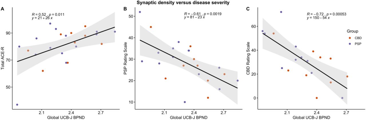 Correlations between global [11C]UCB-J BPND and total ACE-R score (A), total PSP rating scale (B), and total CBD rating scale (C) for the two patient groups.