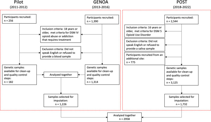 Study diagram.