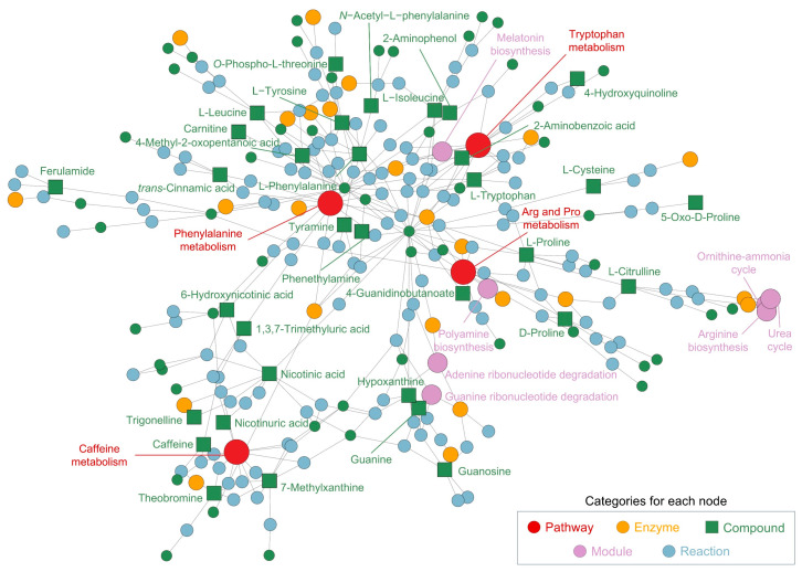 Network and pathway analysis of metabolites identified in the cocoa shell extract (CSE), illustrating the interconnected metabolic pathways and compounds. The network highlights significant metabolic pathways, including phenylalanine metabolism, arginine and proline metabolism, caffeine metabolism, and tryptophan metabolism. Nodes represent different categories: pathways (red, ●), enzymes (yellow, ●), compounds (green, ■), modules (purple, ●), and reactions (blue, ●). Arg and Pro metabolism: arginine and proline metabolism.