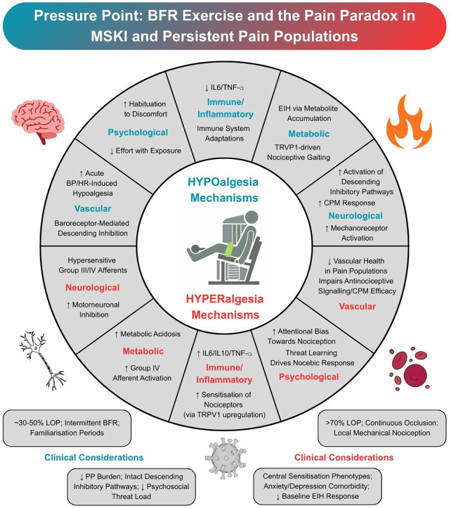 Infographic depicting the mechanisms of hypoalgesia and hyperalgesia in blood flow restriction (BFR) exercise for musculoskeletal injury (MSKI) and persistent pain, categorized into psychological, vascular, neurological, immune/inflammatory, and metabolic domains, with associated clinical considerations outlining optimal thresholds and risk factors for pain outcomes.