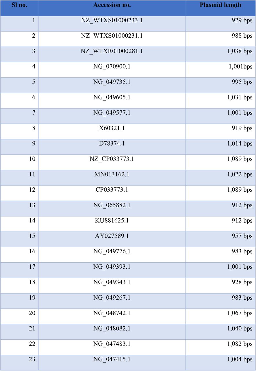 Length and accession numbers of the plasmid sequences used.