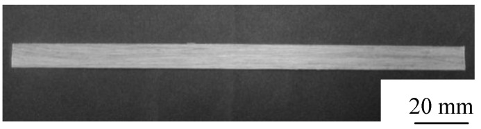 Survey photograph of Manila hemp fiber reinforced biodegradable plastics (MHFRP) specimen.