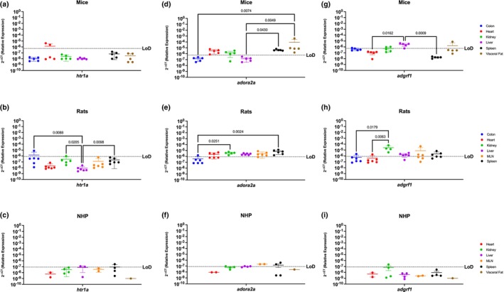 Htr1a, Adora2a, and Adgrf1 are Poorly Conserved Among Mice, Rats, and NHP. Relative expression of 5‐htr1a, adora2a, and adgrf1 was determined using qPCR from the colon, heart, kidney, liver, MLN, spleen, and visceral fat from mice, rats, and NHP. (a) Htr1a was only detected partially in the colon (3/5), heart (2/5), and in the visceral fat of mice (4/5 mice) at comparable levels. (b) In rats, htr1a was only detected in one sample of the colon. (c) Htr1a in the NHP model was detected in the spleen (2/4 rhesus (d)) In mice, Adora2a was detected in the heart, kidney (4/5), spleen, and visceral fat. (e) Adora2a was detected in all organs screened, with significantly higher levels in the spleen when compared to other organs. (f) Adora2a in NHP was detected in the MLN and spleen. (g) Adgrf1 was detected in the colon, kidney (3/5), and liver, having significant difference between the liver and the heart and the liver and the spleen. (h) Adgrf1 was detected in the kidney with significant higher levels when compared to the colon, liver, and spleen. This gene was also detected in the heart (1/6 rats) and MLN (3/5 rats) (i) Adgrf1 was detected partially in the kidney (1/4 rhesus) and the spleen (2/4 rhesus). Data are graphed as the mean ± SD.
