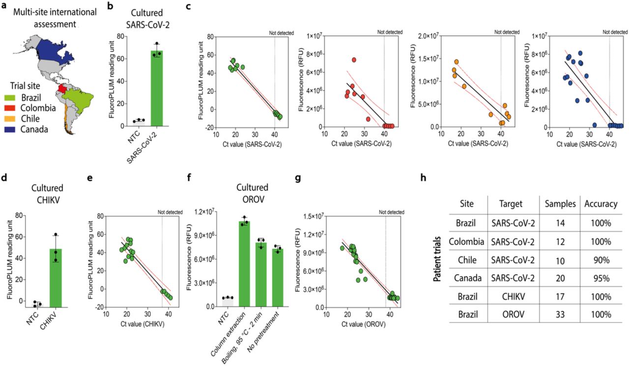 A scalable, affordable platform brings decentralized disease detection in regions of endemic infection.(a) Countries where diagnostics were manufactured on-site and successfully used to establish disease diagnostic programs. Colors correspond to the data shown in subsequent panels, representing the countries where the data was collected. (b) The functionality of on-site-produced RT-LAMP reactions was further tested with RNA isolated from cultured SARS-CoV-2 virus. Fluorescence measurements after 20 minutes of incubation were plotted. Data are shown as mean ± SD, n = 3. (c) Patient trials for a locally produced SARS-CoV-2 diagnostic program were conducted in four different countries: Brazil, Colombia, Chile, and Canada. RNA samples isolated from patients were analyzed via RT-LAMP, where fluorescence increases indicate successful amplification. Fluorescence after 20 minutes (y-axis) was plotted against corresponding Ct values obtained via CDC RT-qPCR gold-standard assays (x-axis). In-house diagnostic tests demonstrated diagnostic accuracy ranging from 90% to 100%. The dashed line represents the threshold value defined for RT-qPCR analysis. See Supplementary Information for detailed analysis. (d) The functionality of on-site-produced RT-LAMP reactions was further tested with RNA isolated from cultured chikungunya virus. Fluorescence measurements after 30 minutes of incubation were plotted. Data are shown as mean ± SD, n = 3. (e) Patient trial for chikungunya virus was conducted in Brazil using locally produced, on-demand diagnostics. RNA samples isolated from patient samples were analyzed via RT- LAMP using 10 μM SYTO 9 Green fluorescent nucleic acid dye, where fluorescence increases indicated successful amplification. Fluorescence after 30 minutes (y-axis) was plotted against the corresponding Ct values obtained using the CDC RT-qPCR gold-standard assays (x-axis) in parallel. The dashed line represents the threshold value defined for RT-qPCR analysis. (f) Cultured Oropouche virus was processed using three methods: (1) commercial column extraction, (2) simple boiling at 95 °C for 2 minutes, and (3) direct use of the cultured virus without pretreatment. Each sample was tested using on-site-produced RT- LAMP reactions with LAMP fluorescent dye to detect the virus, with all three methods yielding successful detection. Data are shown as mean ± SD, n = 3. (g) Patient trial for Oropouche virus was conducted in Brazil using locally produced, on-demand diagnostics. RNA samples isolated from patient samples were analyzed via RT-LAMP using 1X LAMP fluorescent dye, where fluorescence increases indicated successful amplification. Fluorescence after 40 minutes (y-axis) was plotted against the corresponding Ct values obtained using the RT-qPCR gold-standard assays (x-axis). The dashed line represents the threshold value defined for RT-qPCR analysis. (h) In parallel with the CDC RT-qPCR gold standard, in-house diagnostic tests for SARS-CoV-2, chikungunya, and Oropouche viruses demonstrated accuracy ranging from 90% to 100%. During this project phase, RNA quality and integrity were verified in all patient samples using the human endogenous controls for Ribonuclease P (RT-qPCR) and Beta-actin (RT-LAMP). See Supplementary Information for detailed analysis (Tables S6-12). Abbreviations are: NTC, non-template control; CHIKV, chikungunya virus; OROV, Oropouche virus; Ct, cycle threshold.