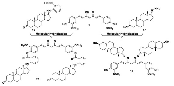 Design of steroidal-curcumin hybrid derivatives with antioxidant and anti-apoptotic properties.
