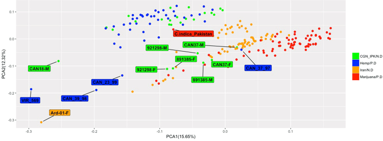 Principle components analysis of 95 samples from Iranian collection, 43 hemp and 71 marijuana samples using 13,325 SNPs. Hemp samples are colored blue and marijuana samples are colored red. Iranian samples divided to two groups, Original from Iran (orange) and come from germplasm collections of CGN and IPK (green) (N.D stand for New Data and P.D stand for previously analyzed data).