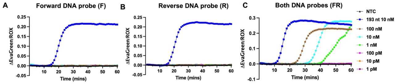 ai-LAMP primer and template design.Representative amplification plots of LAMP reactions with (A) the forward DNA target of 112 nt (F), (B) the reverse DNA target of 125 nt (R), and (C) combinations of the forward and reverse targets (FR). N = 2. Another replicate is shown in Figure S1. No antigen is added in these reactions.