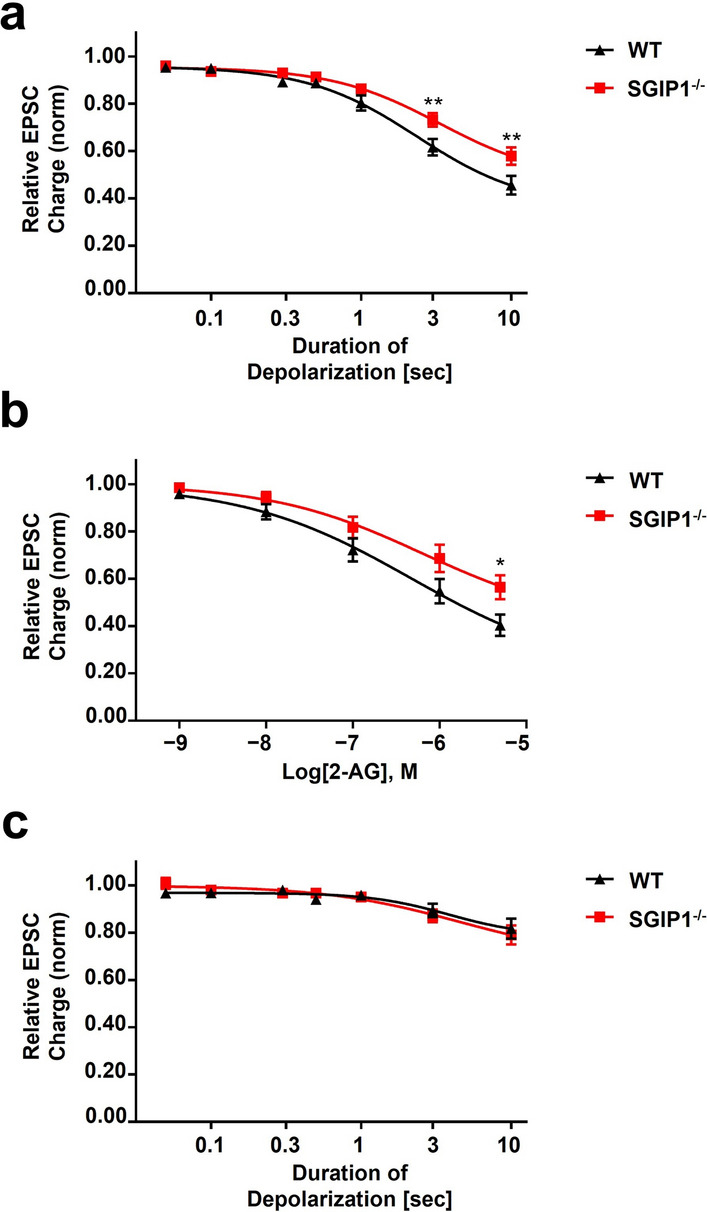 SGIP1 deletion from autaptic neurons decreases CB1-mediated synaptic plasticity and 2-AG responsiveness. Autaptic neurons were depolarized for progressively longer intervals and to induce DSE. (a) SGIP1−/− neurons are significantly less responsive to depolarization compared to wildtype neurons. (b) SGIP1−/− neurons are also less sensitive to 2-AG. Suppression of EPSC charge by increasing concentration of 2-AG was evaluated in autaptic neurons. (c) SGIP1−/− neurons desensitize to the same rate and extent as WT neurons. Cells were treated overnight with the CB1 agonist WIN 55,212–2 (100 nM), washed for 20 min and DSE evaluated. Both SGIP1−/− and WT neurons were almost completely desensitized by treatment with WIN55,212–2 (F(1,21) = 0.011, p = 0.918). Baseline response was normalized to 1 and DSE is plotted as fractions of 1. Data are expressed as mean ± S.E.M. (n = 9–24 per group). *P < 0.05, **P < 0.01, analyzed by 2-way ANOVA with Bonferroni post hoc test.