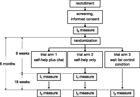 Trial flowchart: an overview of the participant flow for this three-arm randomized control trial